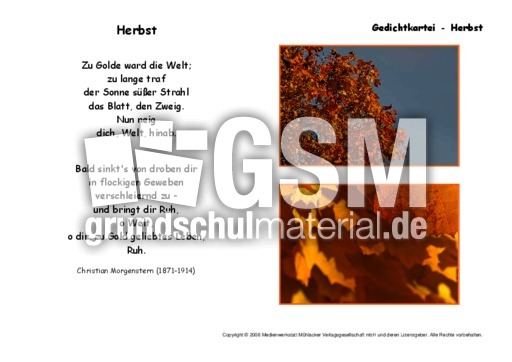 Herbst-Morgenstern.pdf